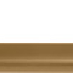 Handle zi.gold brush.170x33mm