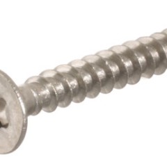 Hospa scr.CS TS stst. 4,0x16mm