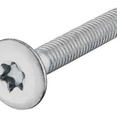 Thread.screw TS galv. M4x 8mm
