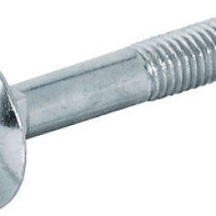 LENS HEAD SCREW GALV.M 6X 40MM